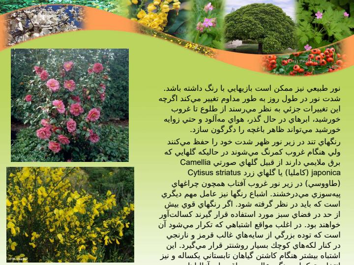 جعبه-رنگ-براي-طراحي-فضاي-سبز6