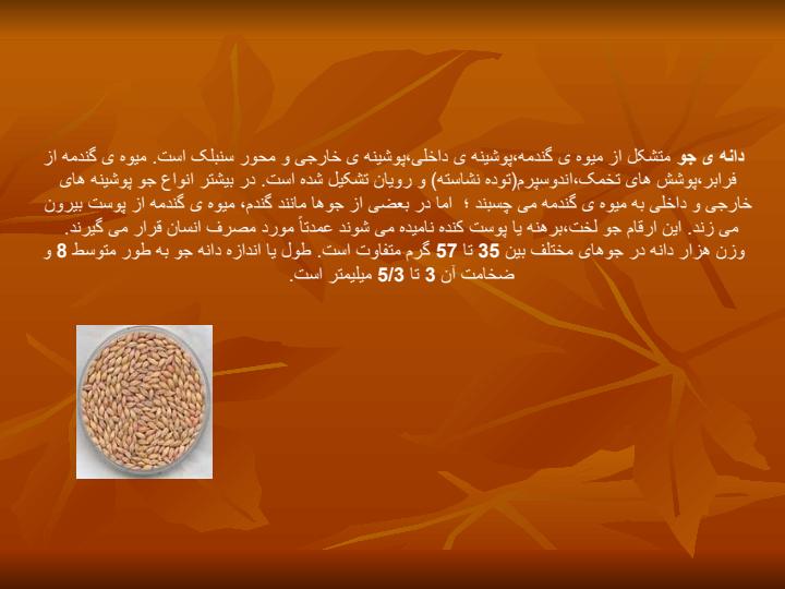 جـو3