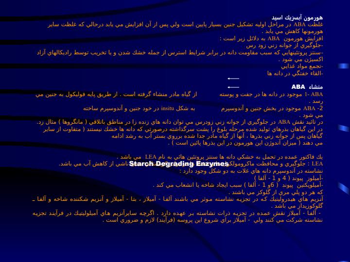 جنين-زايي4
