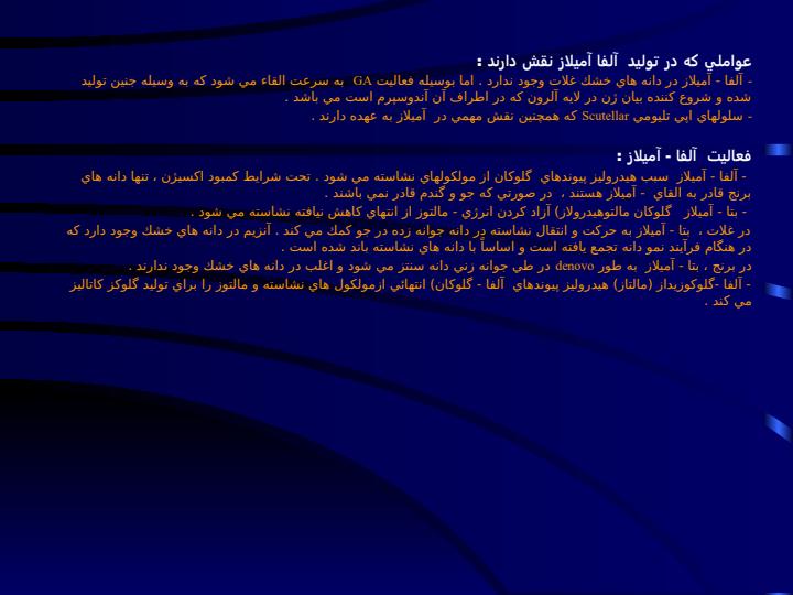جنين-زايي6