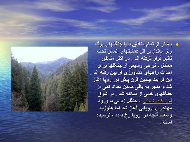 جنگل-ها3