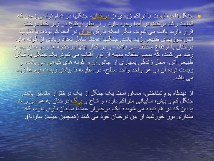 جنگل-ها6