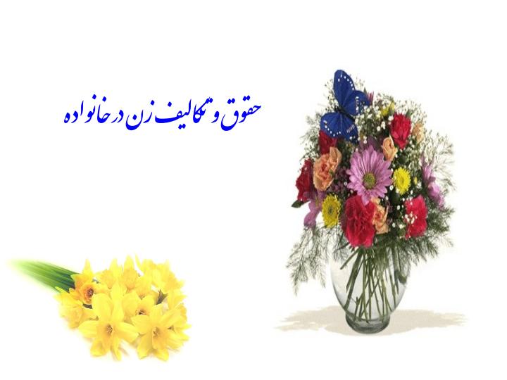 درس-8-حقوق-اجتماعی-زنان3