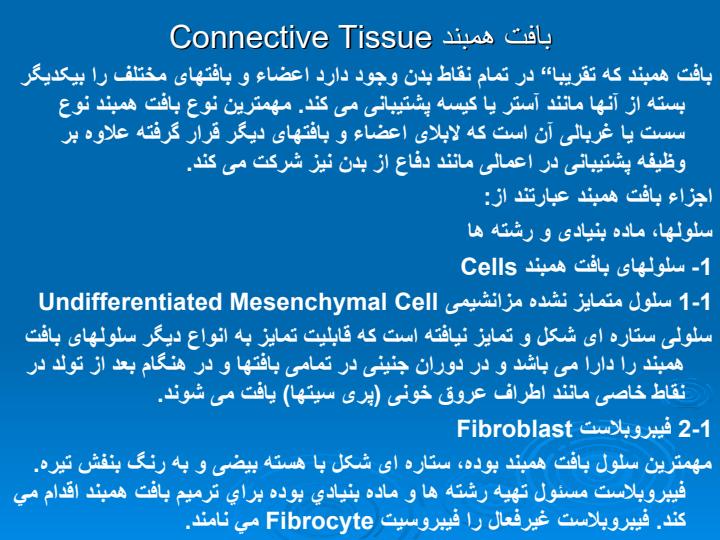 رایشی-خالق1