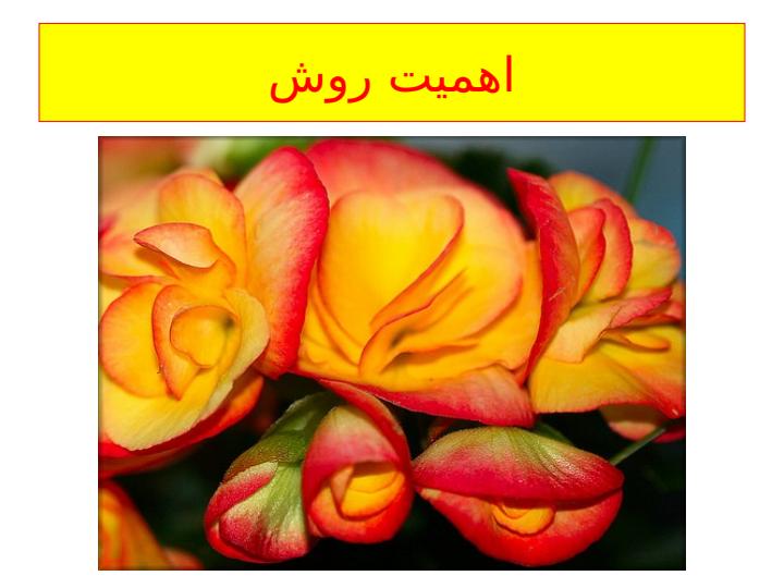 روش-تربیتی-تمثیل5