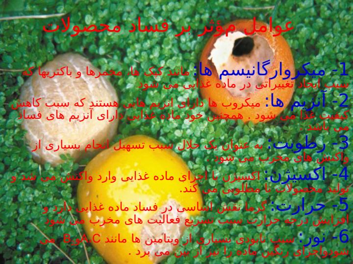 روشهای-نگهداری-مرکبات-بعد-از-برداشت3