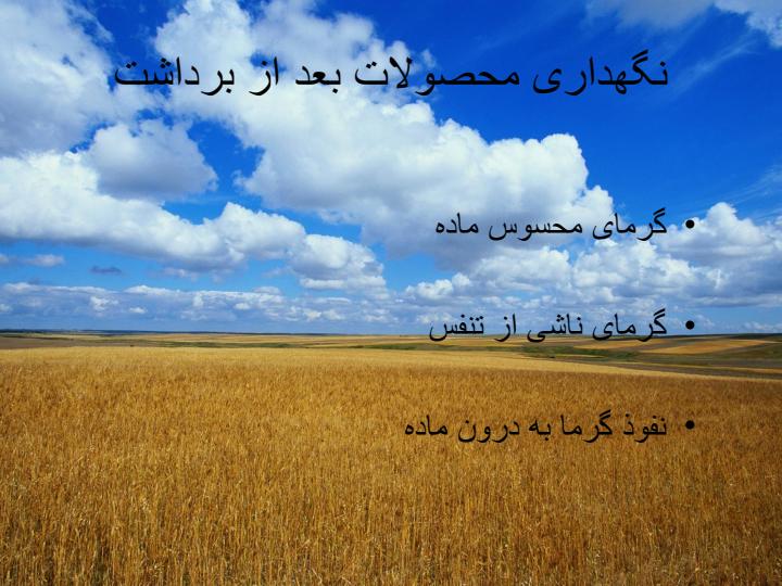 روشهای-نگهداری-مرکبات-بعد-از-برداشت4