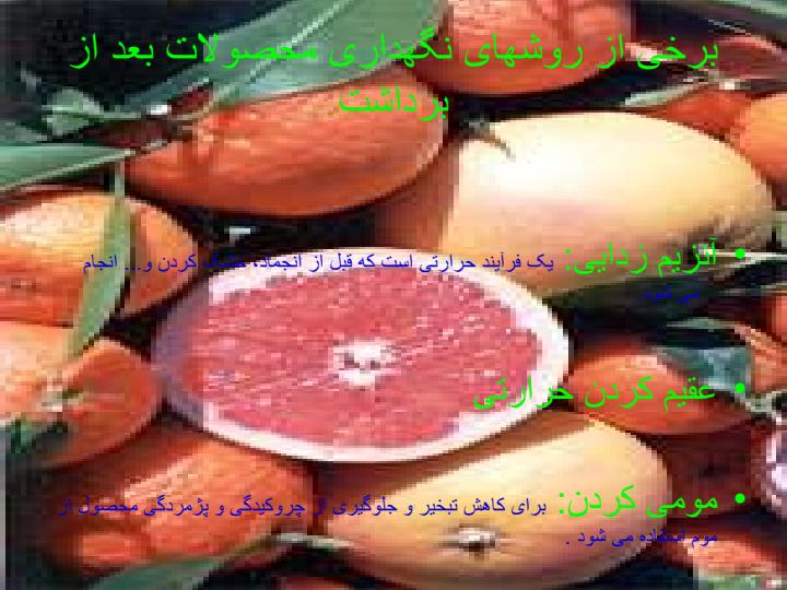 روشهای-نگهداری-مرکبات-بعد-از-برداشت6