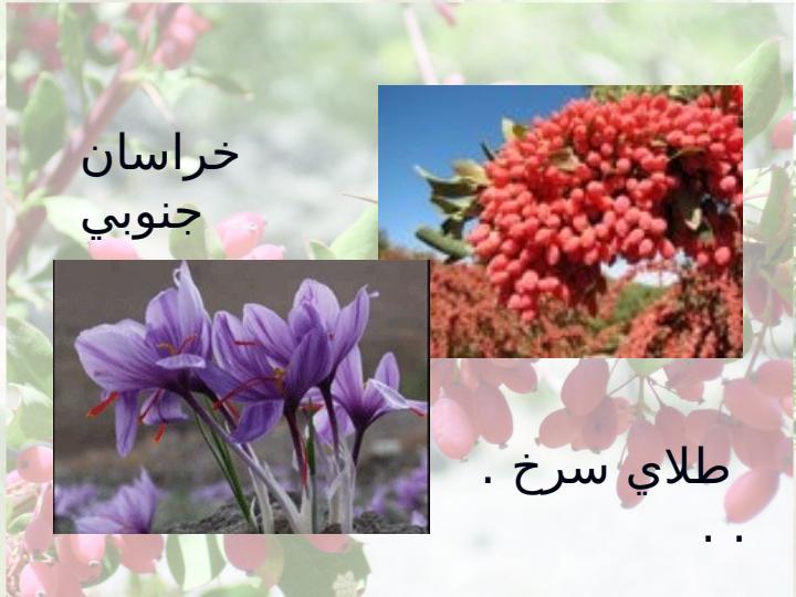 روند-توسعه-روستایی-در-دهستان-مود-با-تاکید-بر-بخش-کشاورزی-شهرستان-سربيشه2