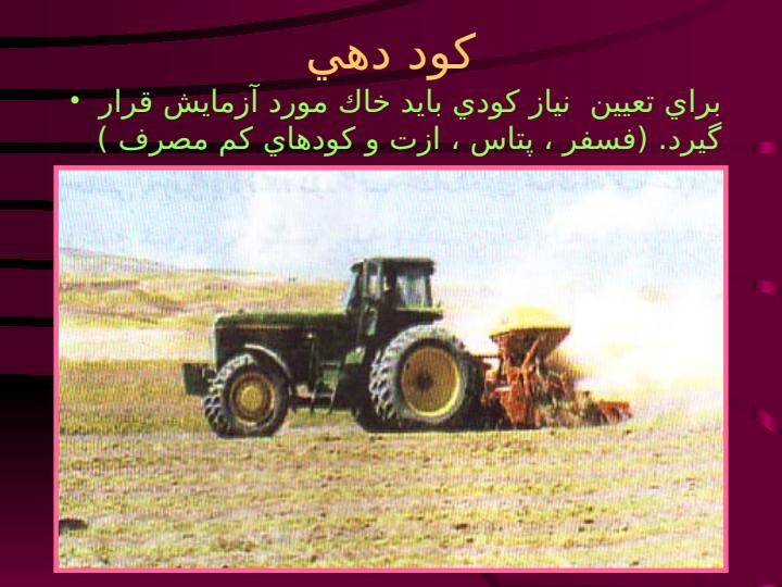 زراعت-چغندر-قند5