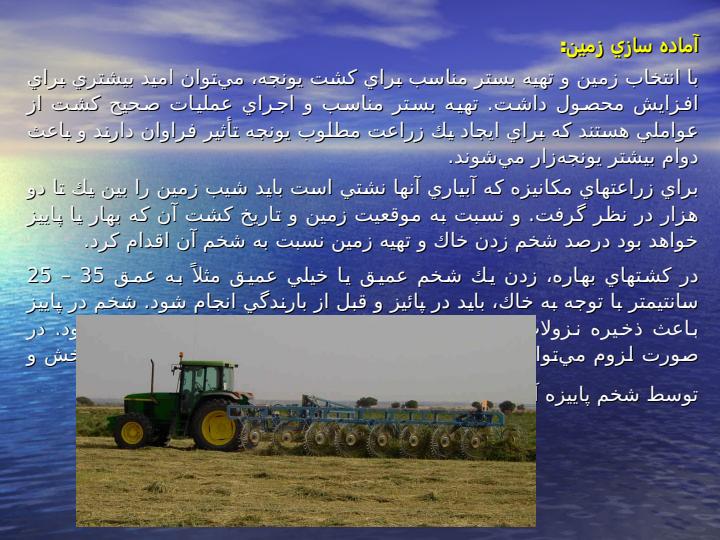 زراعـت-گيـاه-يـونجه5