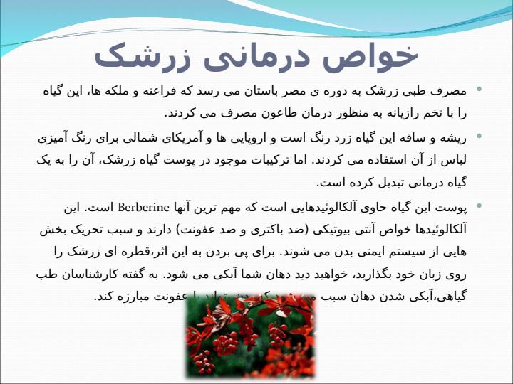 زرشک1