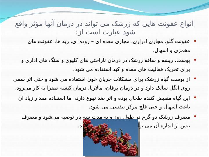 زرشک2