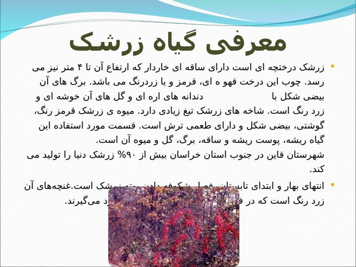 زرشک3