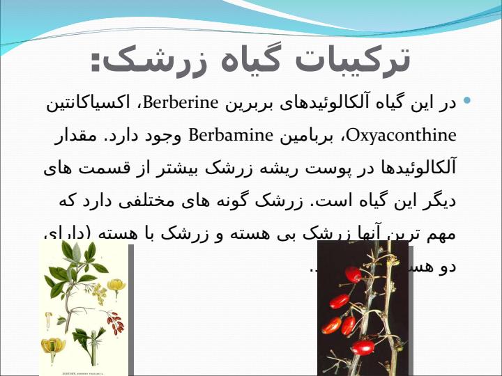 زرشک4