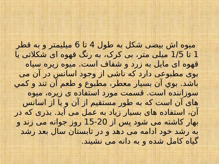 زیره-سیاه-و-زیره-سبز5