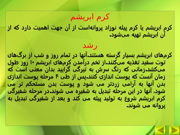 طرح-توجیهی-کرم-ابریشم1