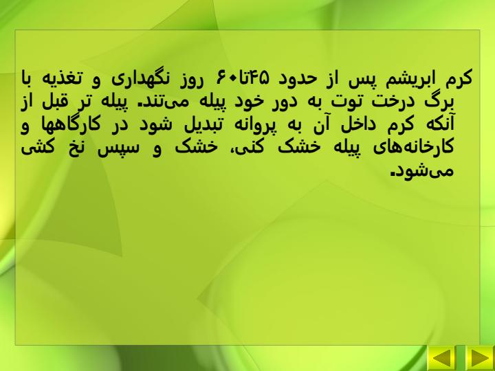 طرح-توجیهی-کرم-ابریشم6
