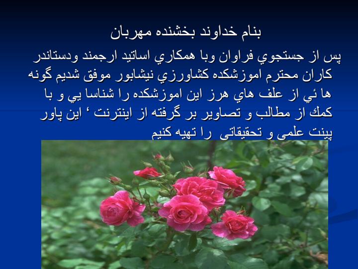 علف-هاي-هرز2