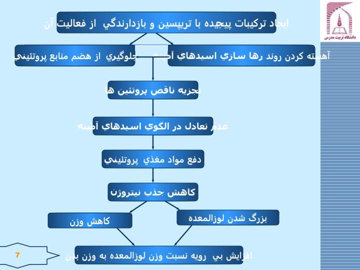 عناصر-ضد-مغذي-بازدارندهها6