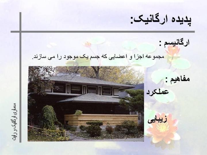 معماري-ارگانيك-و-رايت2