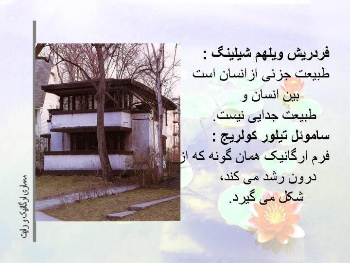 معماري-ارگانيك-و-رايت5