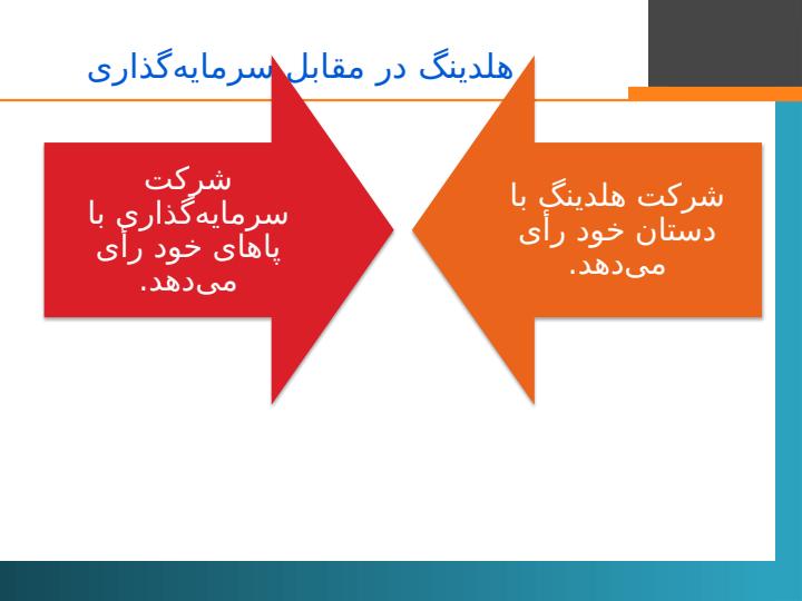 چشم-انداز-توسعه-فعالیتهای-مپنا-حوزههای-فعالیت-و-شیوههای-تامین-مالی4