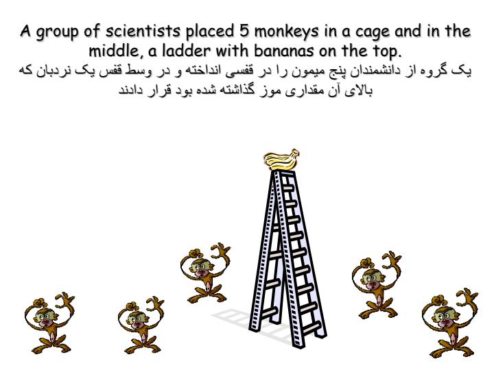 چطور-يک-الگوی-رفتاری-شکل-می-گيرد1