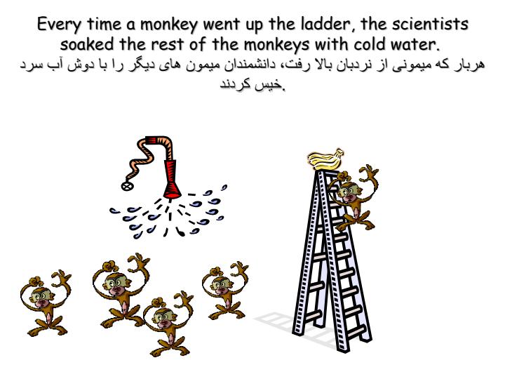 چطور-يک-الگوی-رفتاری-شکل-می-گيرد2