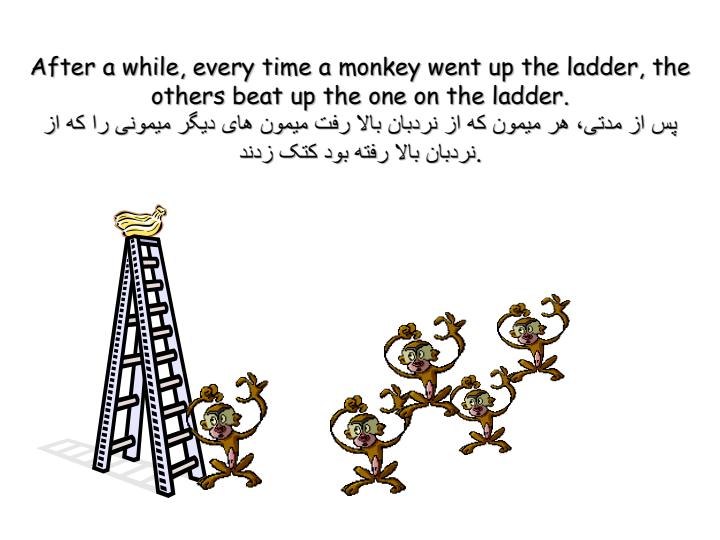 چطور-يک-الگوی-رفتاری-شکل-می-گيرد3