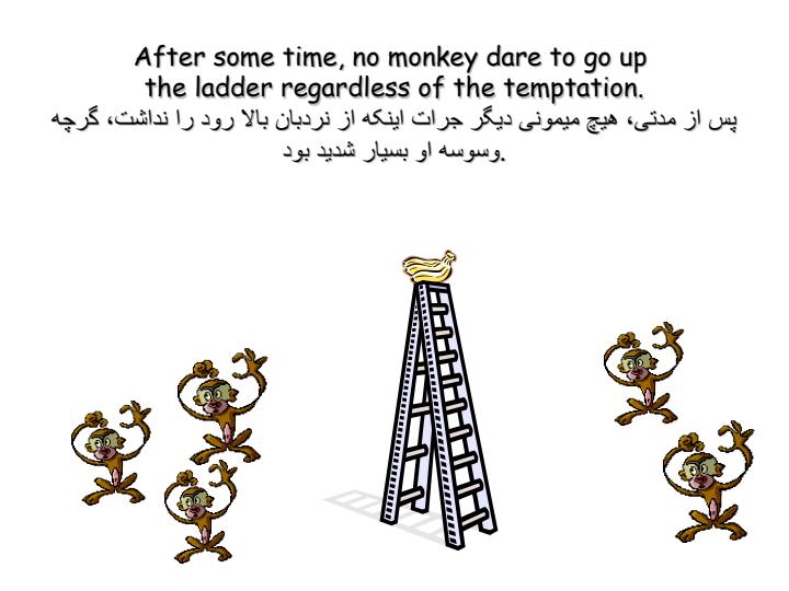 چطور-يک-الگوی-رفتاری-شکل-می-گيرد4