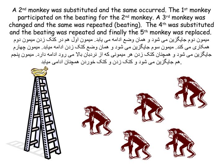 چطور-يک-الگوی-رفتاری-شکل-می-گيرد6