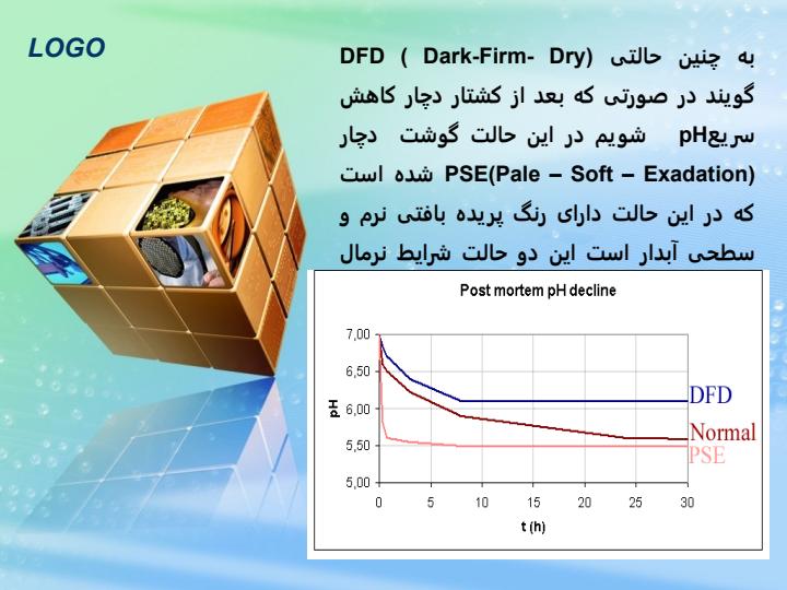 چگونگی-تبدیل-عضله-به-گوشت-و-عوامل-موثر-بر-آن3