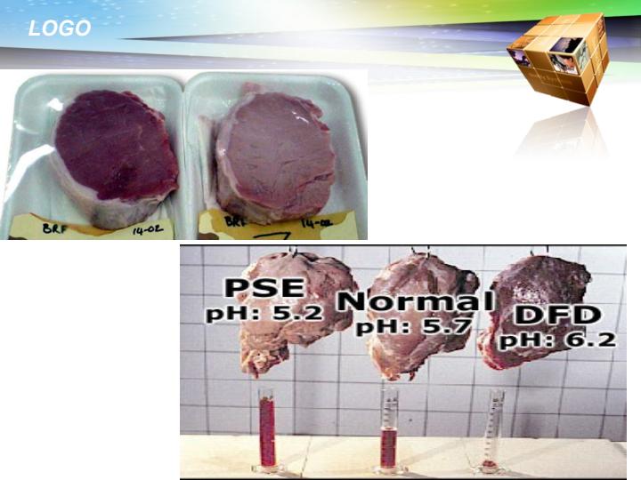 چگونگی-تبدیل-عضله-به-گوشت-و-عوامل-موثر-بر-آن6