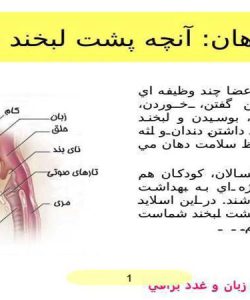 دهان