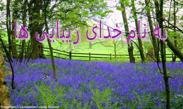 نگرش-اسلام-به-شخصيت-زن-يا-مرد