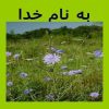 نمونه-ای-از-ارتباط-منطقی-بین-طب-سنتی