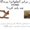 در-برابر-آنفلوانزا-پرندگان-H5N8چه-باید-کرد