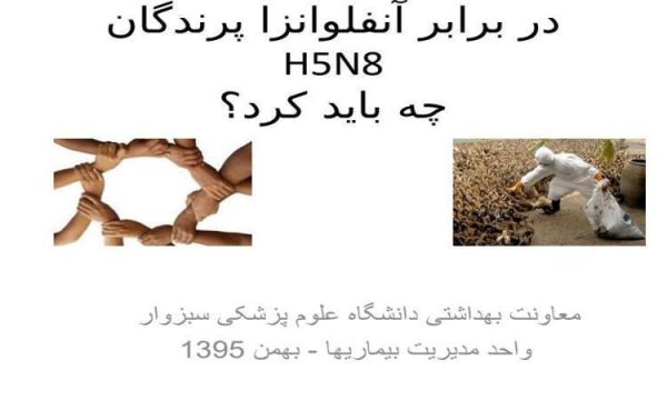 در-برابر-آنفلوانزا-پرندگان-H5N8چه-باید-کرد