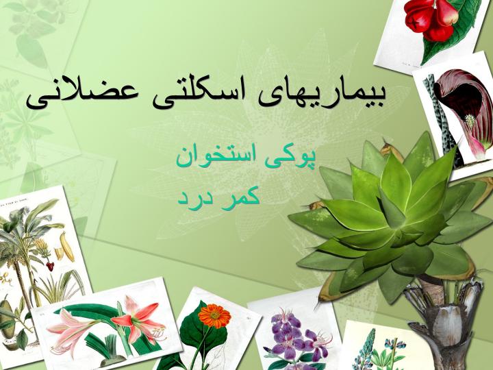 بیماریهای-اسکلتی-عضلانی1