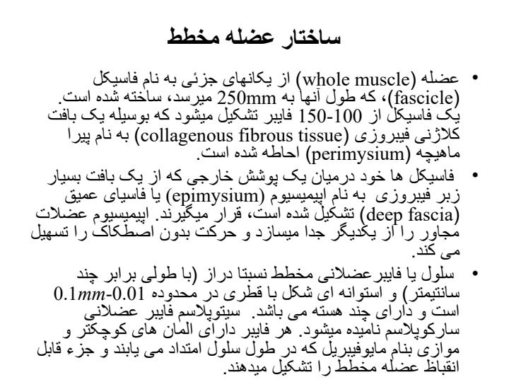 بیومکانیک-عضله-مخطط-فیزیک-پزشکی4