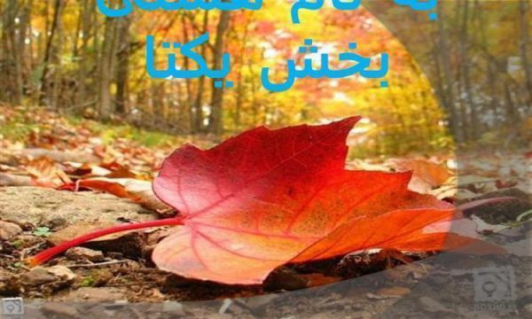 نقش-تغذیه-در-رشد-و-سلامت-انسان