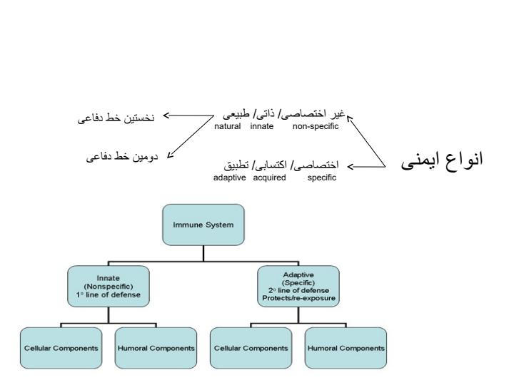 تغذیه-و-ایمونولوژی2