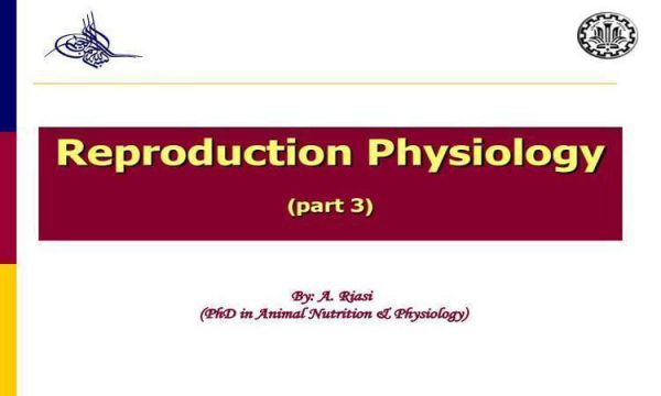 فیزیولوژی-تولید-مثل-سه