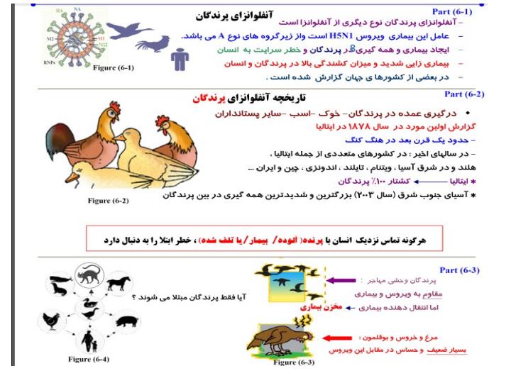 در-برابر-آنفلوانزا-پرندگان-H5N8چه-باید-کرد1