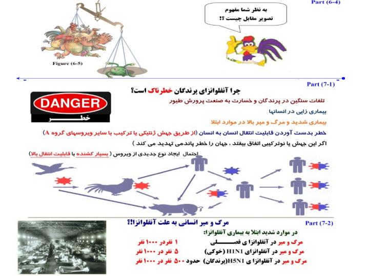 در-برابر-آنفلوانزا-پرندگان-H5N8چه-باید-کرد2