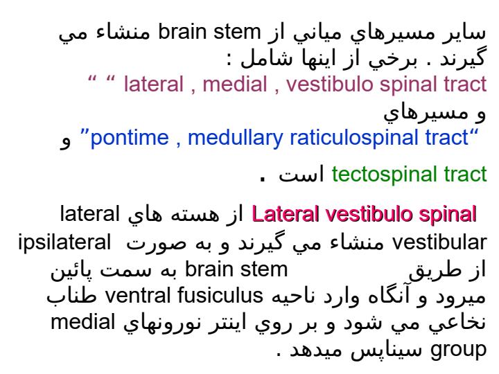 دستگاه-قشر-نخاعی-شکمی1