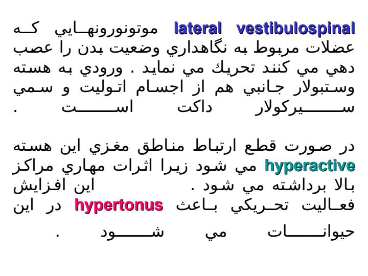 دستگاه-قشر-نخاعی-شکمی2