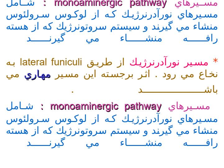 دستگاه-قشر-نخاعی-شکمی3