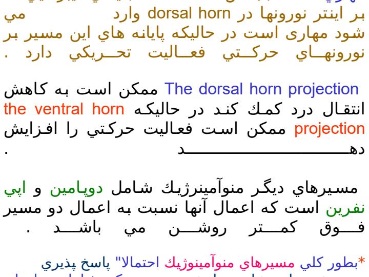 دستگاه-قشر-نخاعی-شکمی4